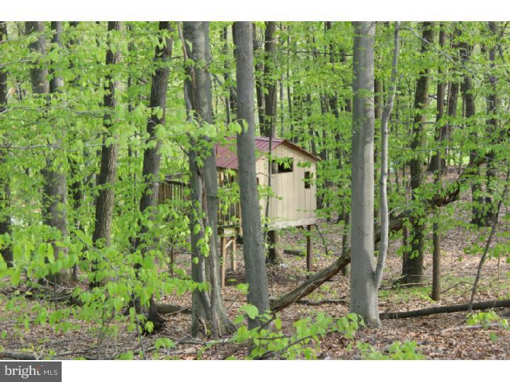 554 Ridgeway Road Birdsboro, PA 19508 - Photo 23 of 25 Gallery Image 23