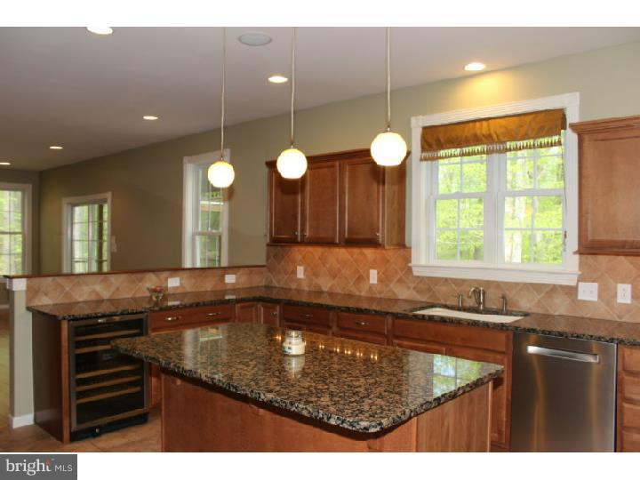 554 Ridgeway Road Birdsboro, PA 19508 - Photo 5 of 25 Kitchen