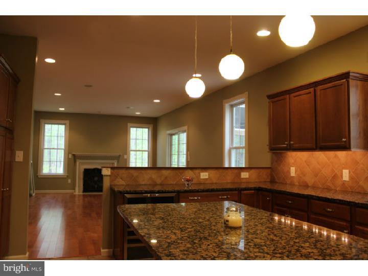 554 Ridgeway Road Birdsboro, PA 19508 - Photo 7 of 25 Kitchen