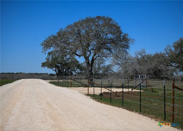 a view of backyard and trees