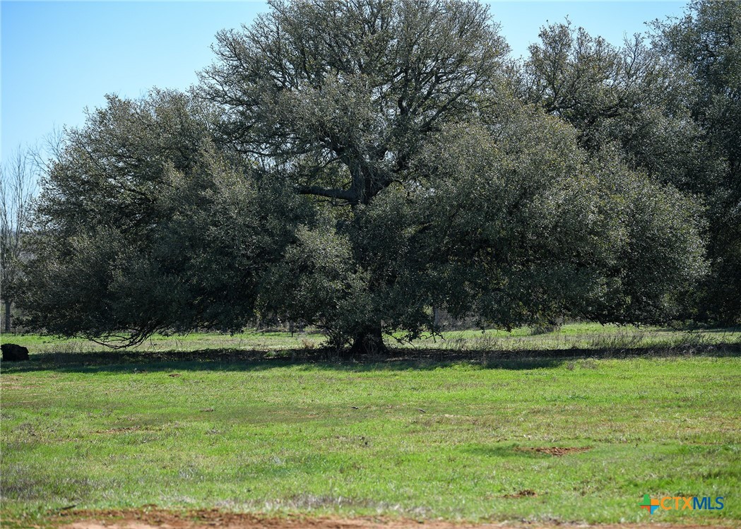 822 Main Loop Road Waelder, TX 78959 - Photo 7 of 8 a view of yard with green space