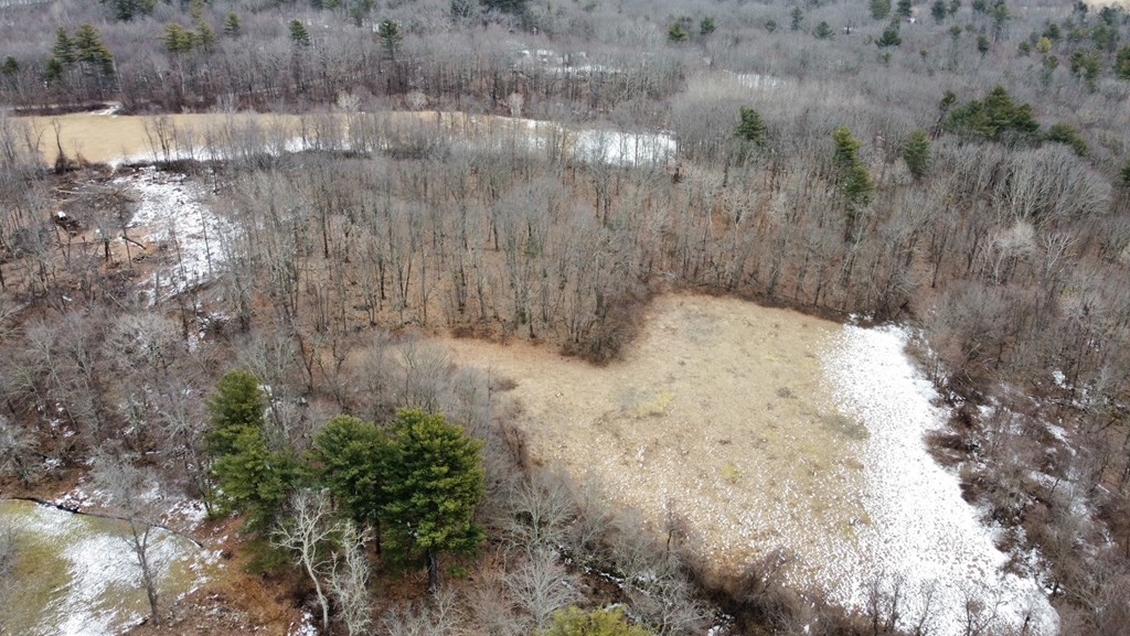 0 North Road Hardwick, MA 01037 - Photo 1 of 3 a view of a dry yard covered with trees