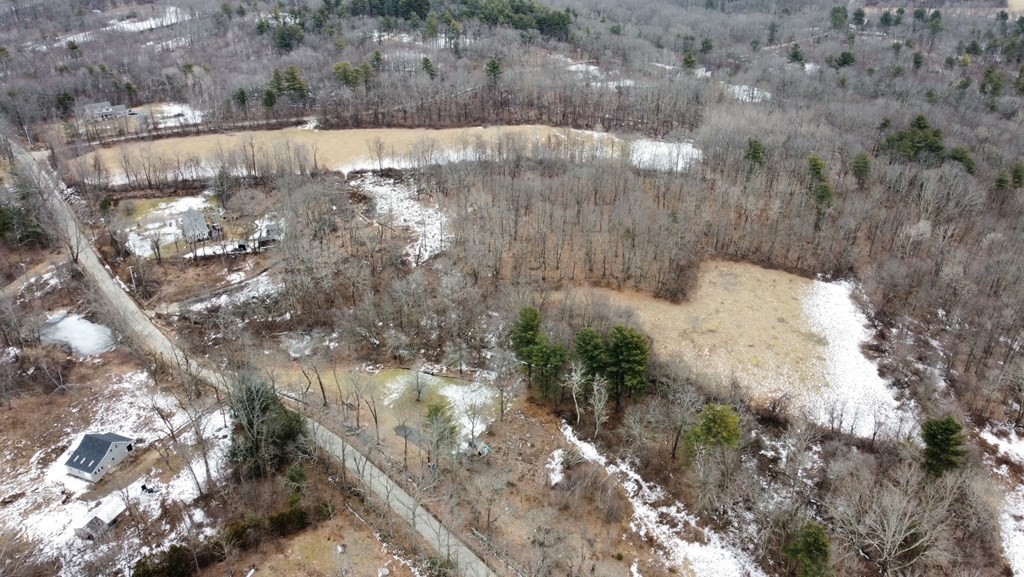 0 North Road Hardwick, MA 01037 - Photo 2 of 3 a view of a yard with large tree