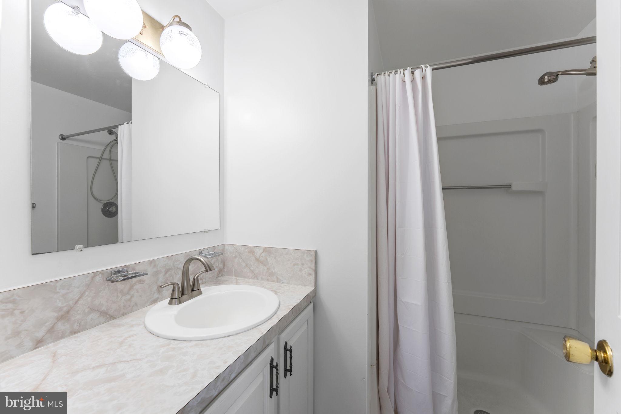 3296 Apple Pie Ridge Road Winchester, VA 22603 - Photo 22 of 61 a bathroom with a sink and a mirror