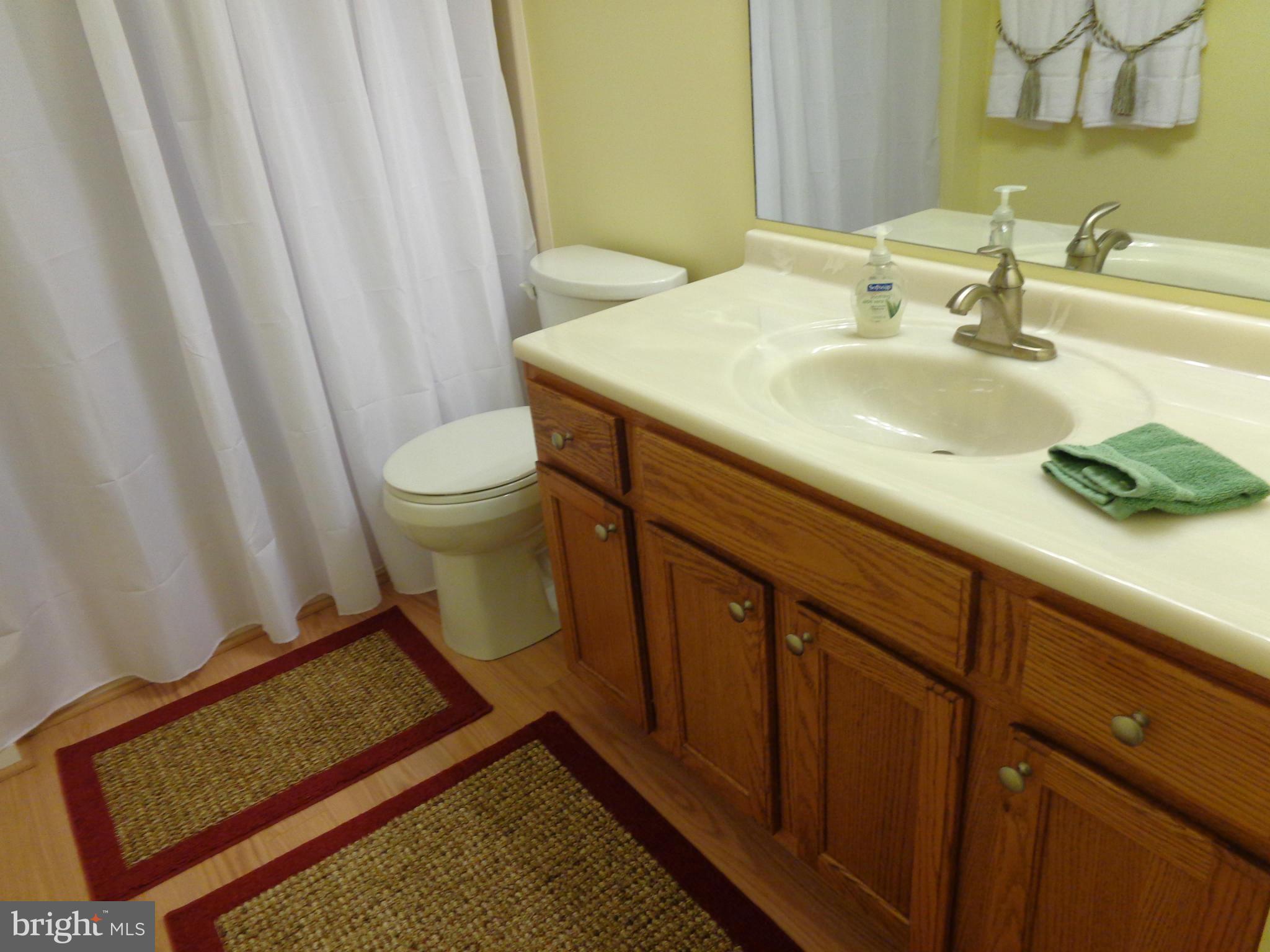 7330 Statum Road Denton, MD 21629 - Photo 11 of 11 Bath