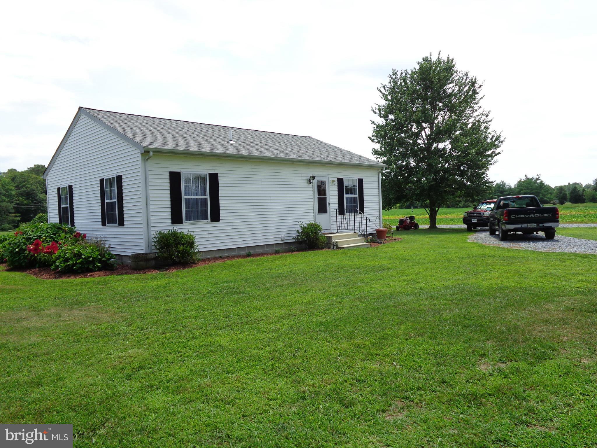 7330 Statum Road Denton, MD 21629 - Photo 3 of 11 Exterior (Rear)