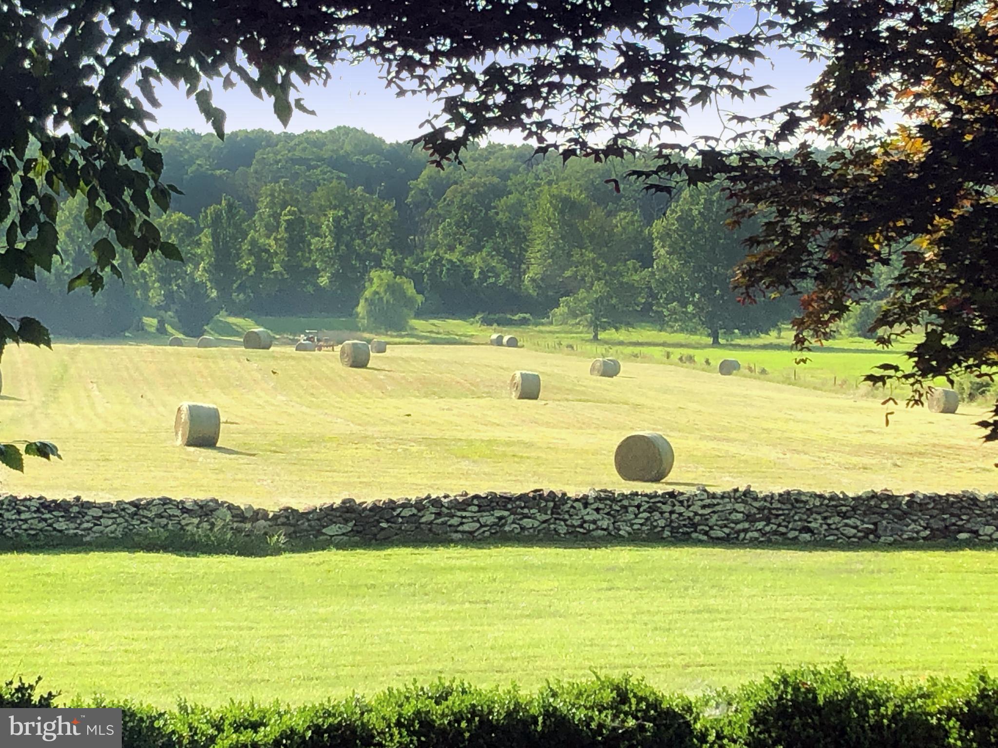 1310 Delaplane Grade Road Upperville, VA 20184 - Photo 12 of 94 View when front field is made into round bales