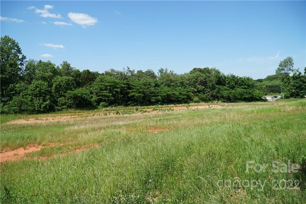 14809 Brown Mill Road Huntersville, NC 28078 - Photo 3 of 11 a view of a field with an ocean view