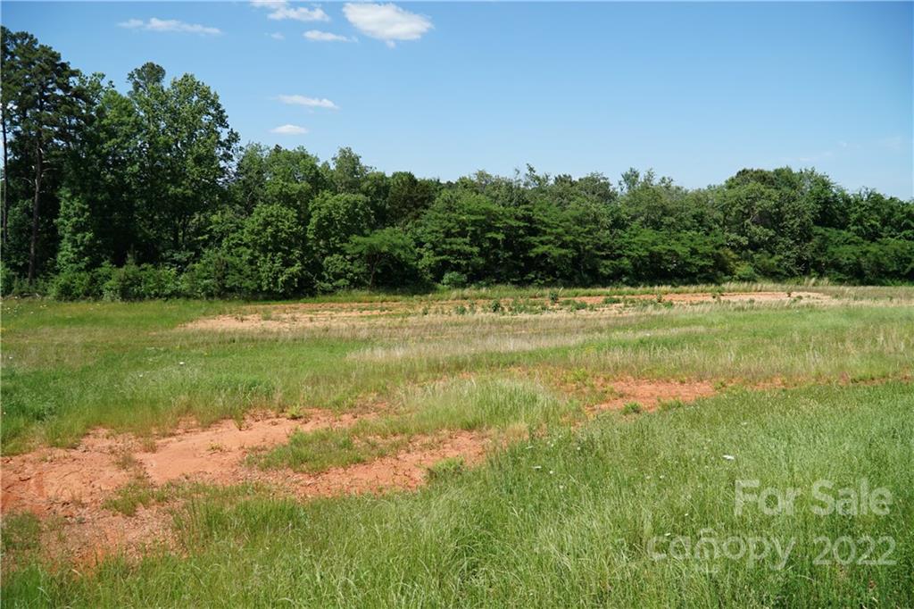 14809 Brown Mill Road Huntersville, NC 28078 - Photo 6 of 11