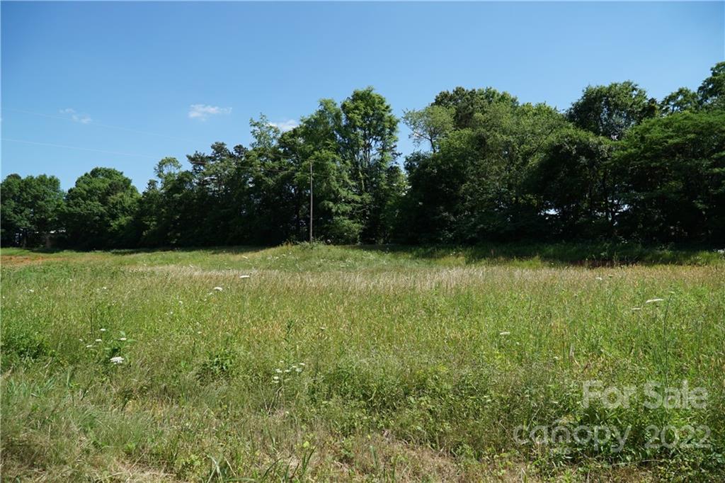 14809 Brown Mill Road Huntersville, NC 28078 - Photo 9 of 11 a view of a garden
