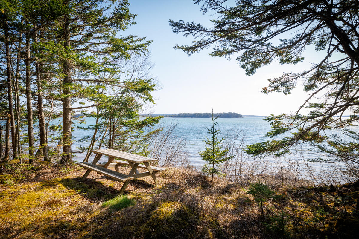 224 Great Cove Road Roque Bluffs, ME 04654 - Photo 97 of 121 108-224 Great Cove Road LoRes-DTP