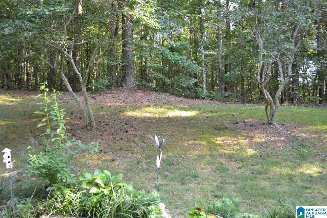 7847 Brookwood Road Pinson, AL 35126 - Photo 43 of 50