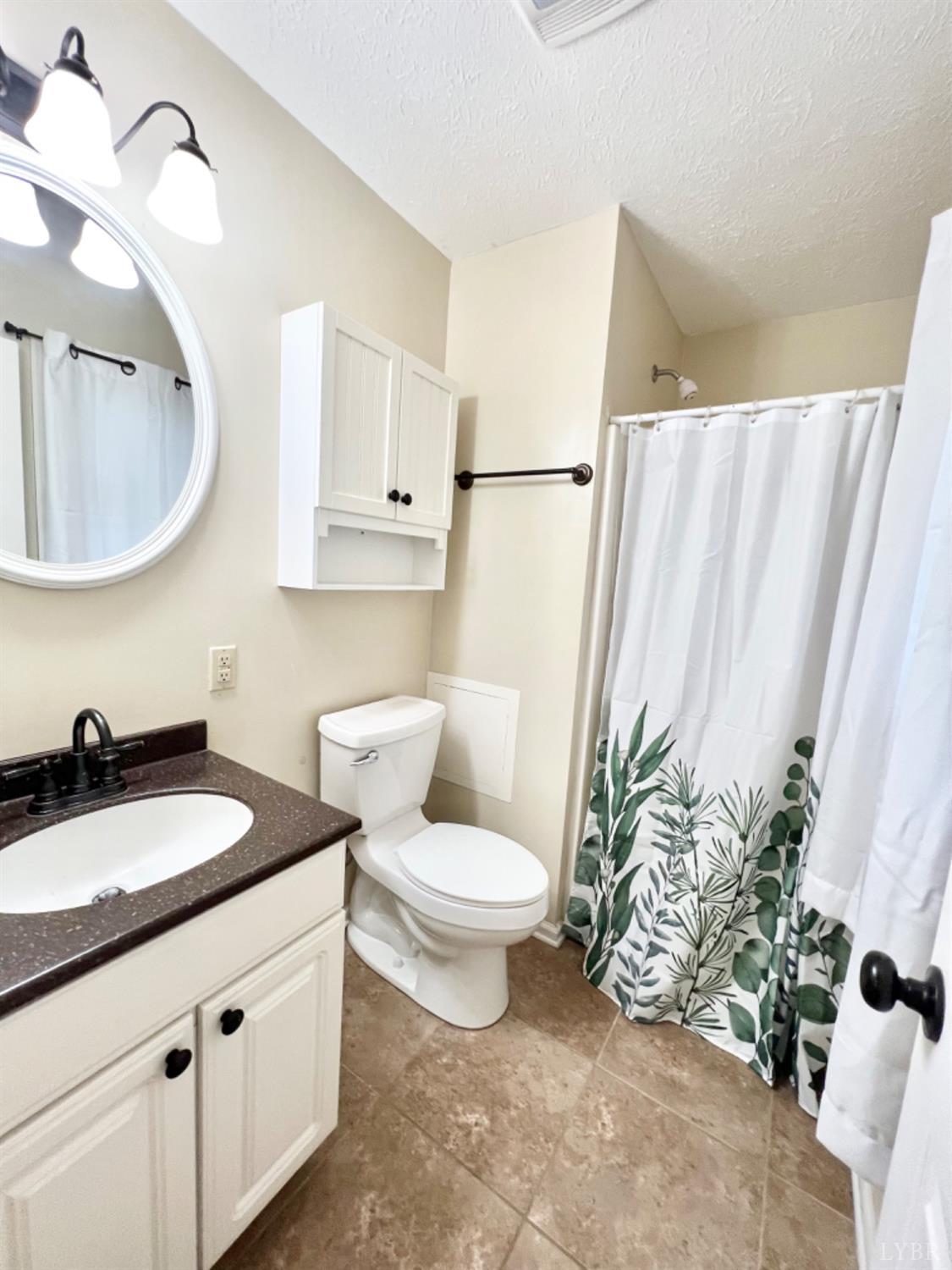 202 Sugar Mill Drive Amherst, VA 24521 - Photo 13 of 41 a bathroom with a granite countertop sink a toilet and a mirror