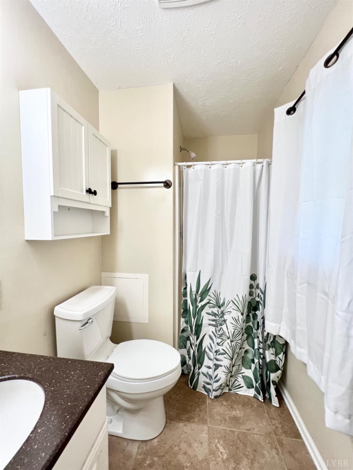 202 Sugar Mill Drive Amherst, VA 24521 - Photo 14 of 41 a bathroom with a granite countertop sink a toilet and a mirror