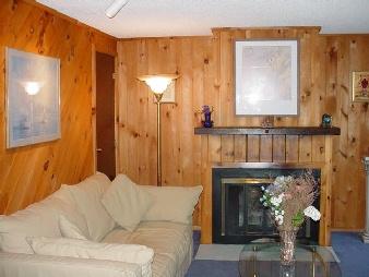293 Beech Plain Road Sandisfield, MA 01253 - Photo 2 of 2 a living room with furniture and a fireplace