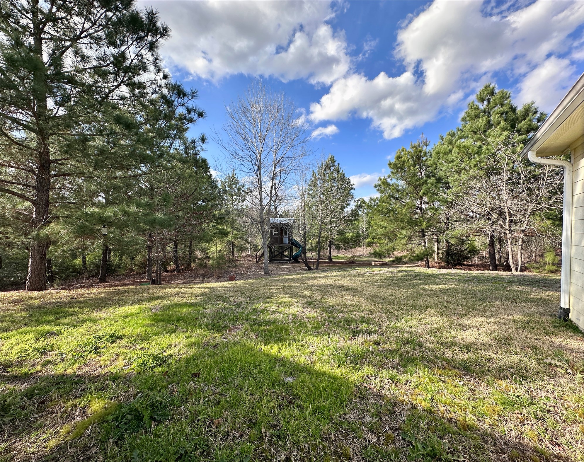 124 Pine Path Bastrop, TX 78602 - Photo 26 of 31 View of yard featuring a playground