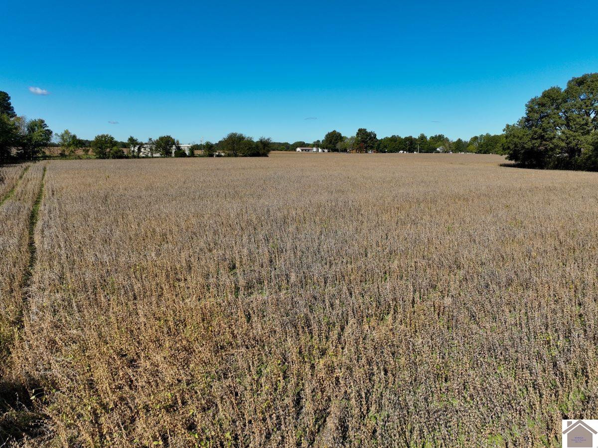 0 Kirksey Road Murray, KY 42071 - Photo 18 of 31 Photo 18