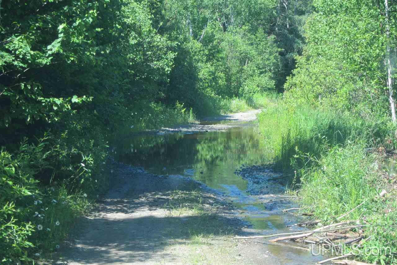 78-ac Lukes/shakey Lk Road Crystal Falls, MI 49920 - Photo 19 of 19