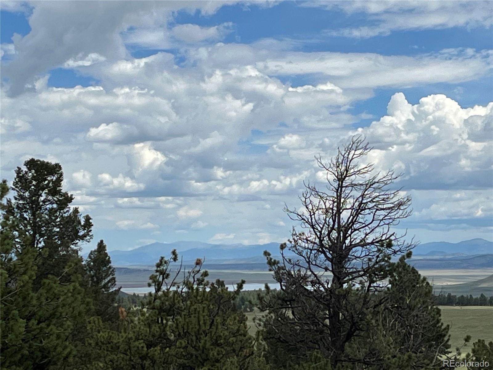 2235 Blacksmith Road Hartsel, CO 80449 - Photo 4 of 31