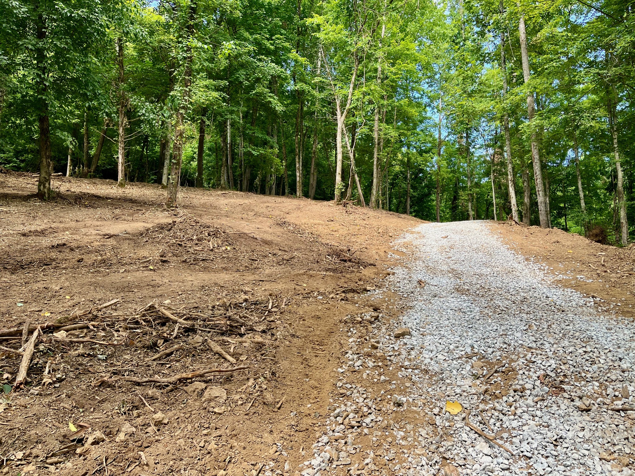135 Dillehay Hollow Road Pleasant Shade, TN 37145 - Photo 7 of 47