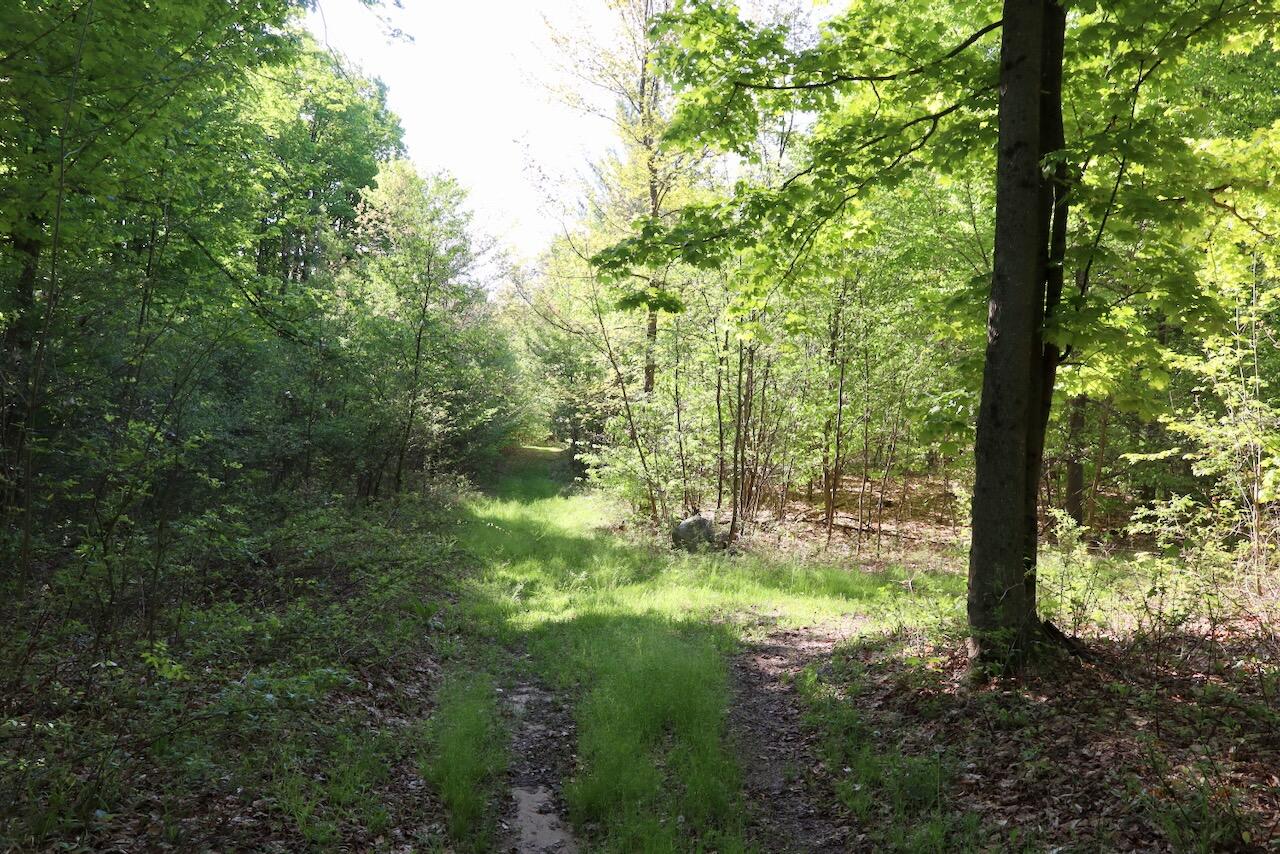 11547 1 Mile Road Leroy, MI 49655 - Photo 56 of 73 45_
