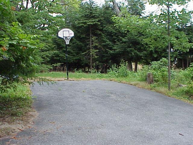17 Rambling Way Mount Pocono, PA 18344 - Photo 3 of 8 Backyard/basketball court