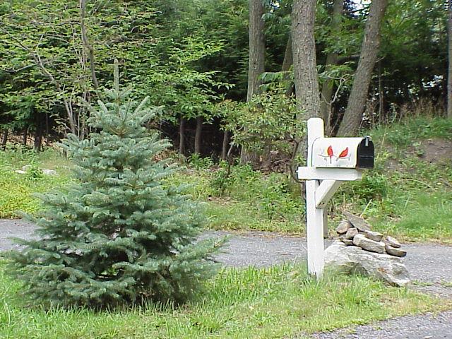 17 Rambling Way Mount Pocono, PA 18344 - Photo 4 of 8 Mailbox