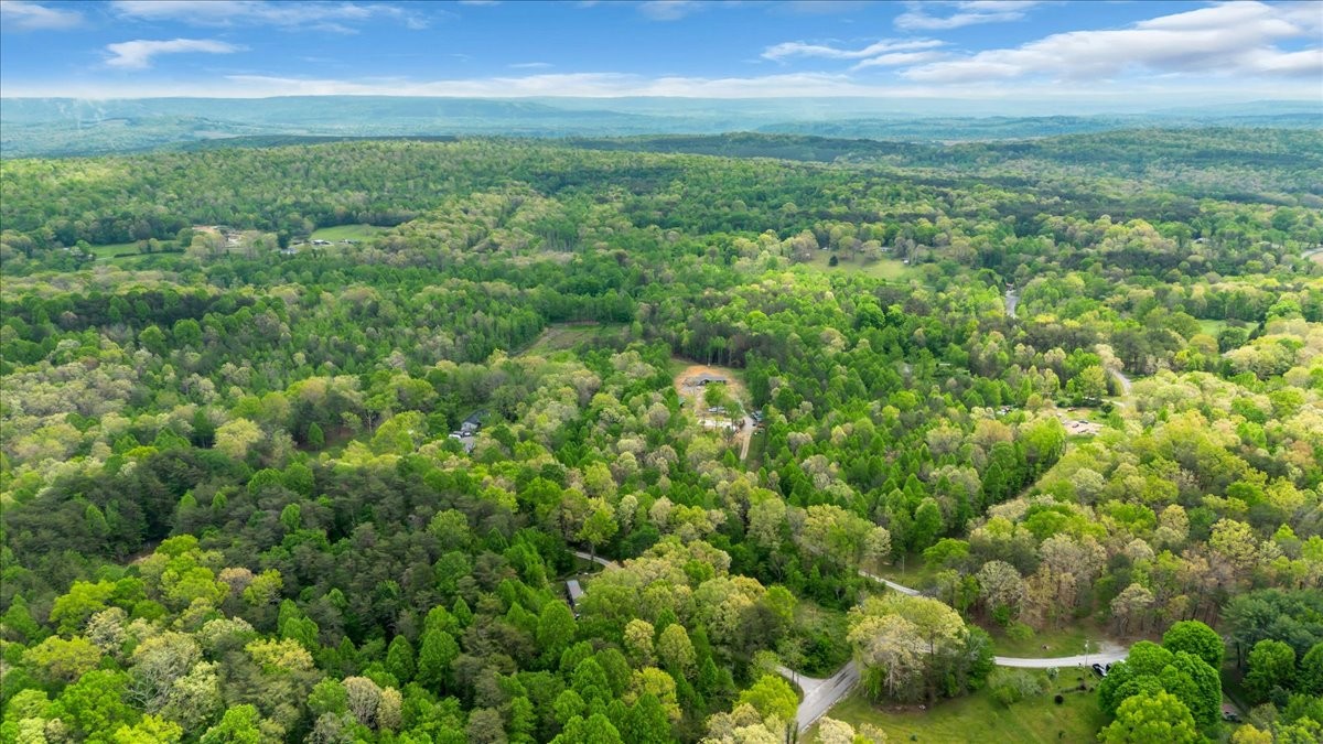 195 Roddy Springs Road Coalmont, TN 37313 - Photo 25 of 44 a view of a field of grass and trees