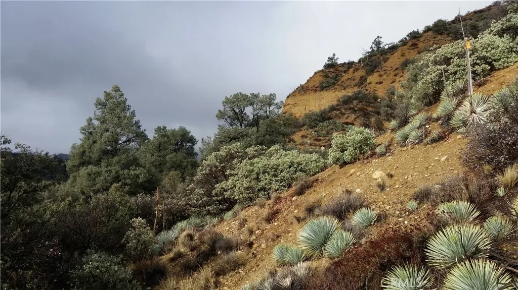 3151 Castle Creek Road Alton, CA 84710 - Photo 16 of 23 a view of a field
