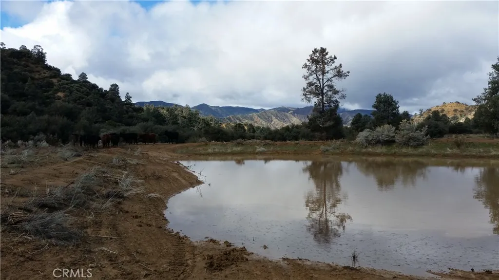 3151 Castle Creek Road Alton, CA 84710 - Photo 22 of 23 a view of a lake in middle of forest
