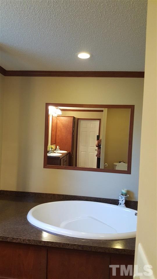 2655 Reedy Prong Church Road Newton Grove, NC 28366 - Photo 21 of 22 a bathroom with a sink and mirror