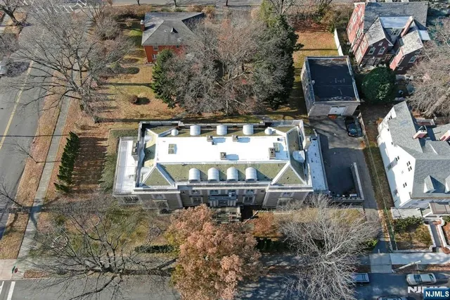 a view of a city with flower plants