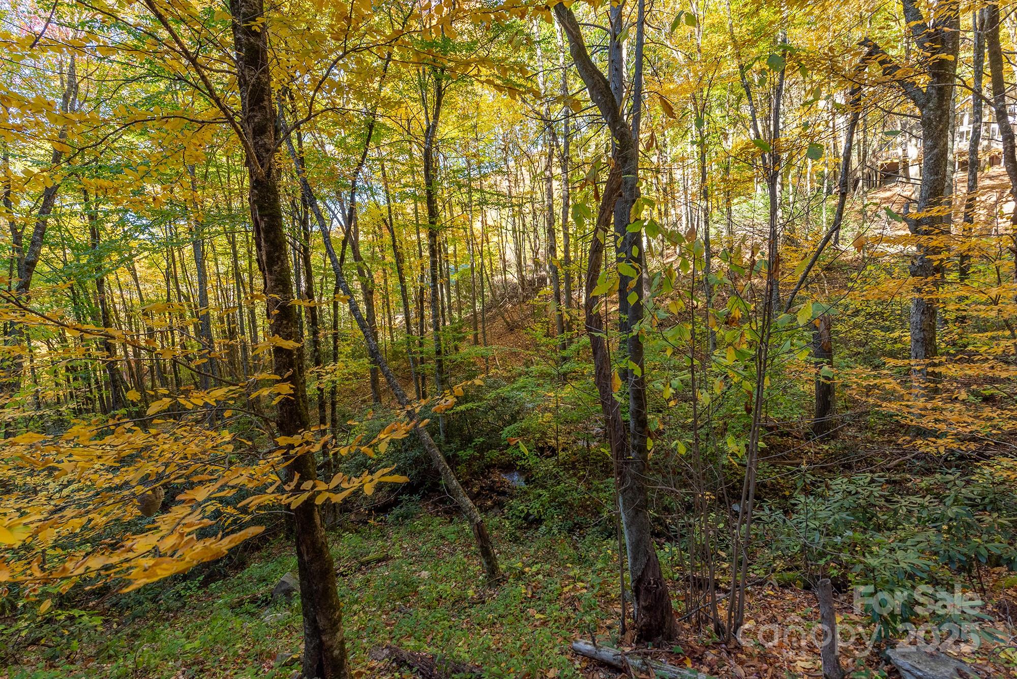 100 Candlemaker Trail Maggie Valley, NC 28751 - Photo 31 of 34 a view of a yard with plants and tree