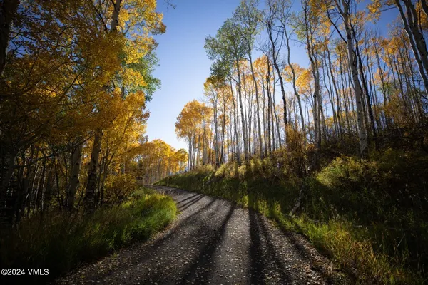 $4,700,000 | 420 Saddle Horn Way, Edwards, CO 81632