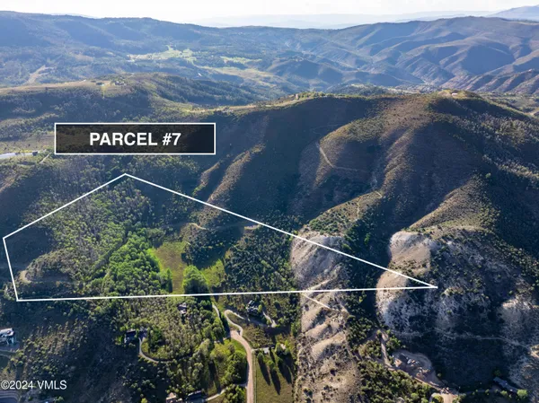 a view of a lush green hillside and a mountain