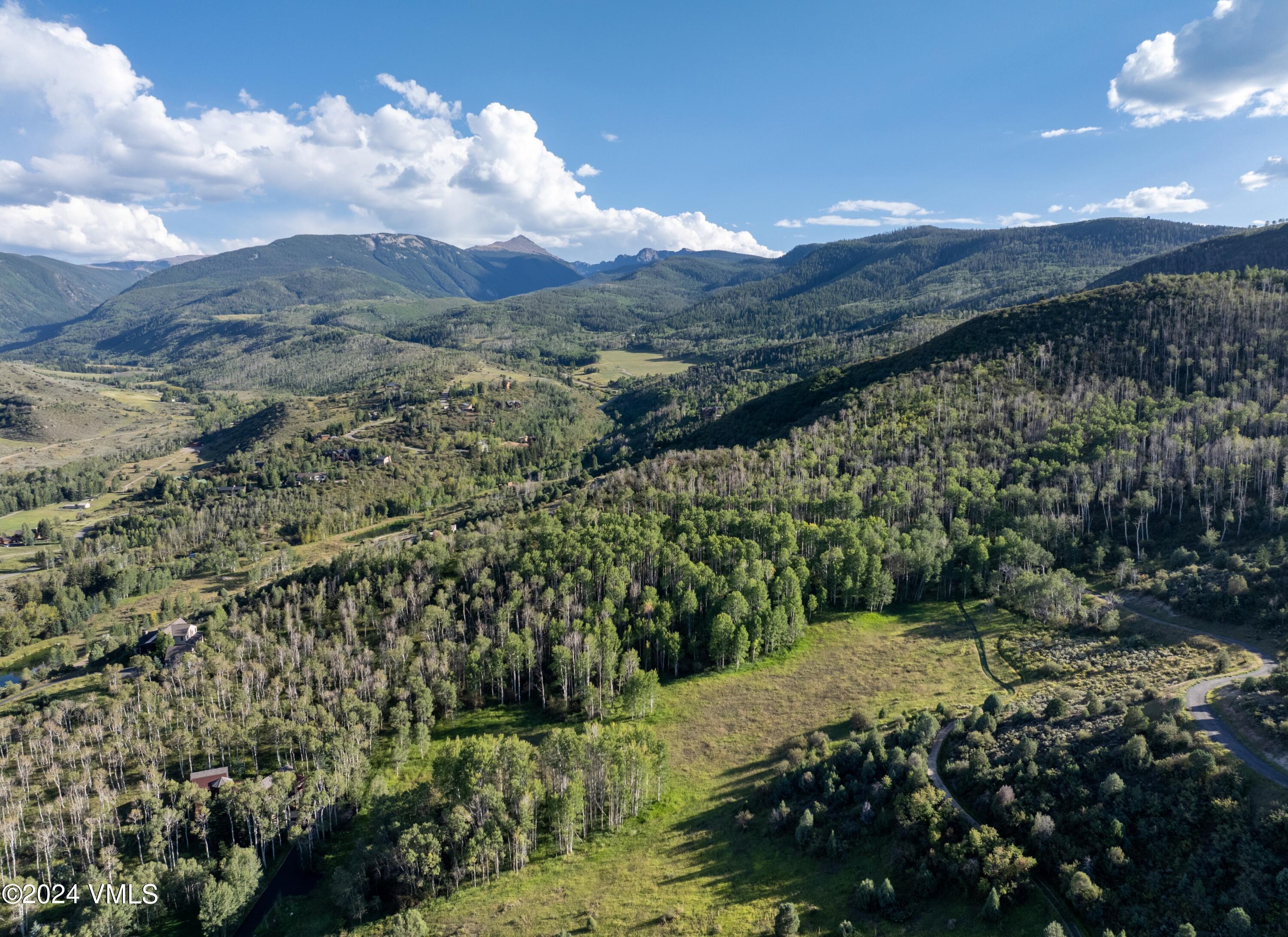 420 Saddle Horn Way Edwards, CO 81632 - Photo 4 of 13 a view of a lush green hillside and a mountain