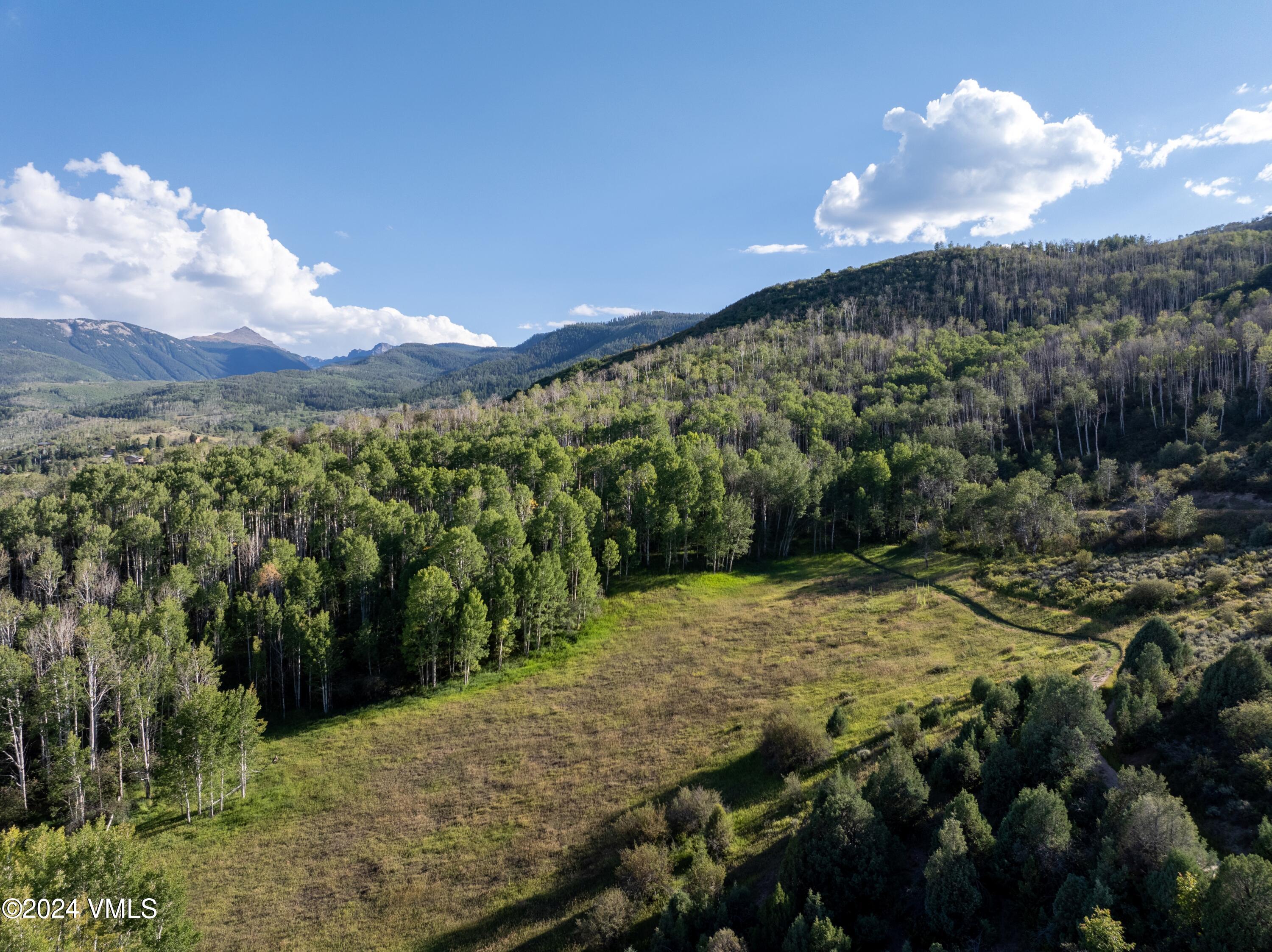 420 Saddle Horn Way Edwards, CO 81632 - Photo 6 of 13 a view of a bunch of trees and houses