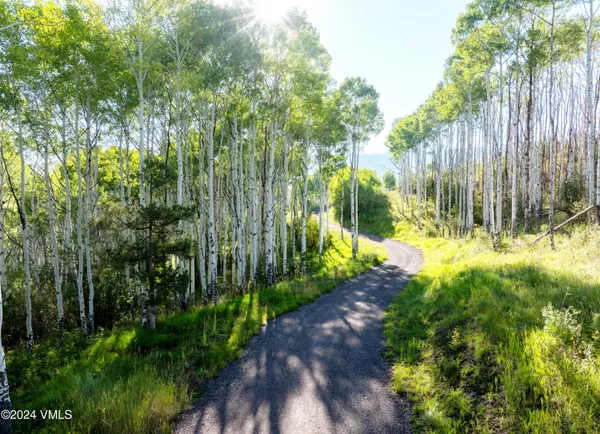 a view of a mountain range with lush green forest