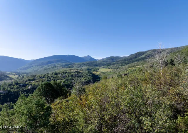 a view of a lush green forest with mountains in the background