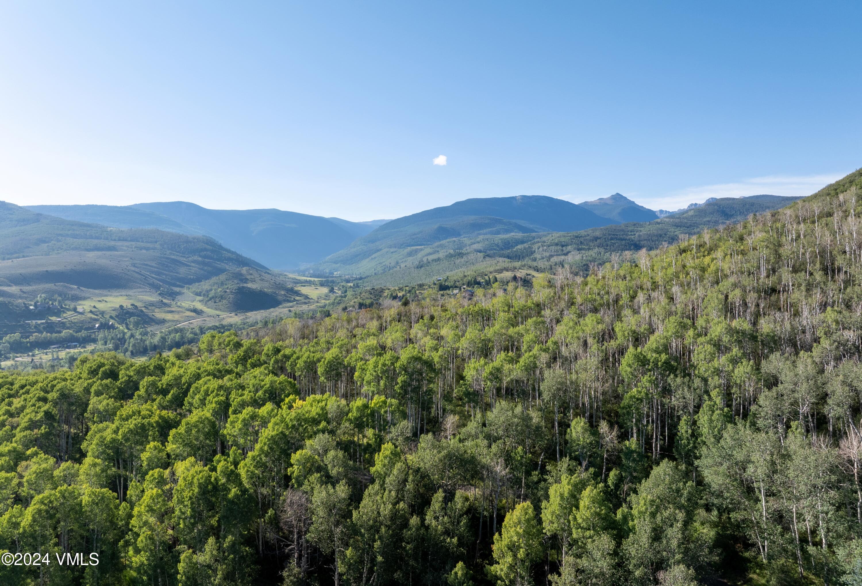 420 Saddle Horn Way Edwards, CO 81632 - Photo 10 of 13 a view of a mountain range with lush green forest
