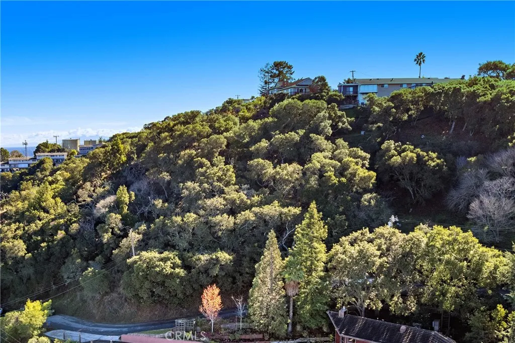 401 Winding San Carlos, CA 94070 - Photo 11 of 11 a view of a tree