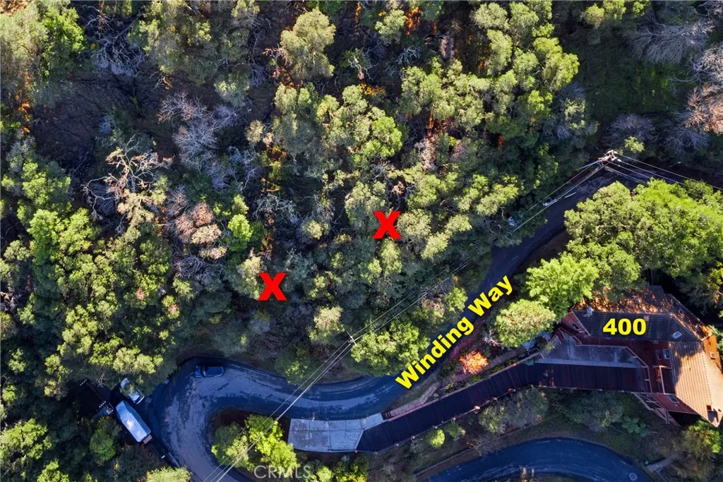 401 Winding San Carlos, CA 94070 - Photo 9 of 11 a picture of flowers