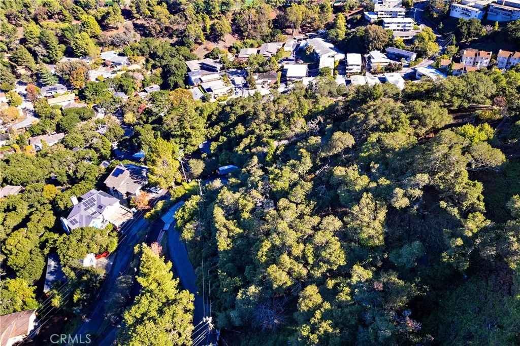 401 Winding San Carlos, CA 94070 - Photo 10 of 11 a view of a tree