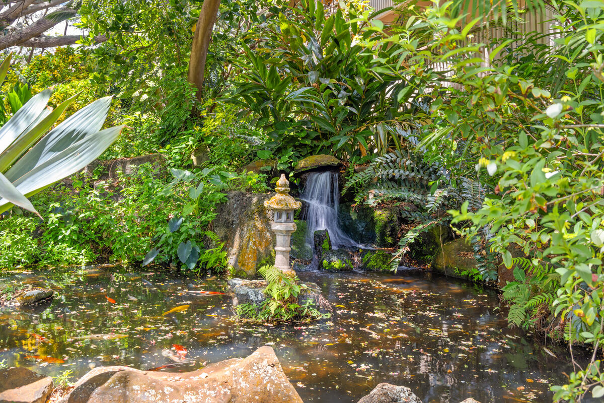 2721 Poipu Road, Unit 100 Koloa, HI 96756 - Photo 17 of 26 a backyard of a house with lots of green space