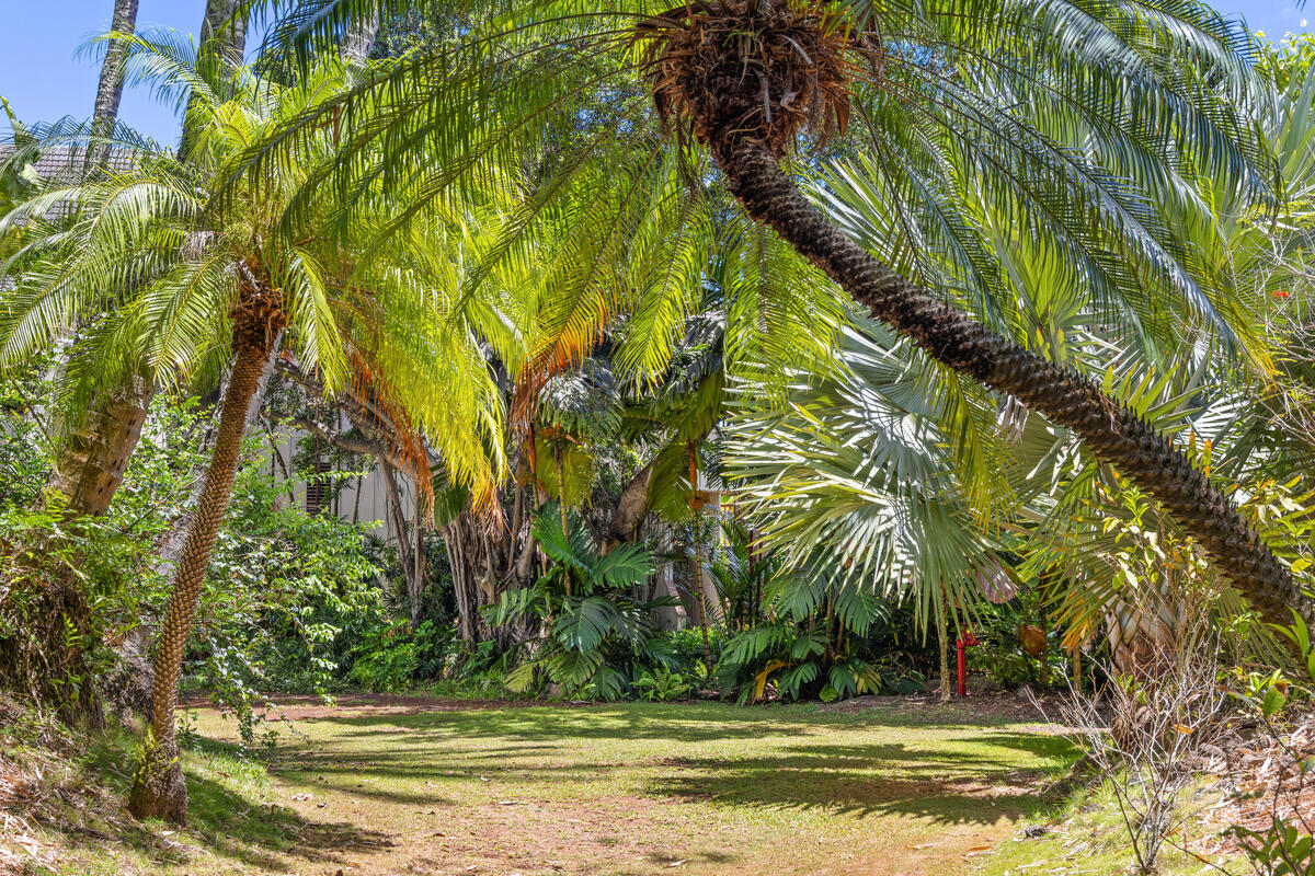 2721 Poipu Road, Unit 100 Koloa, HI 96756 - Photo 21 of 26 a view of swimming pool and trees
