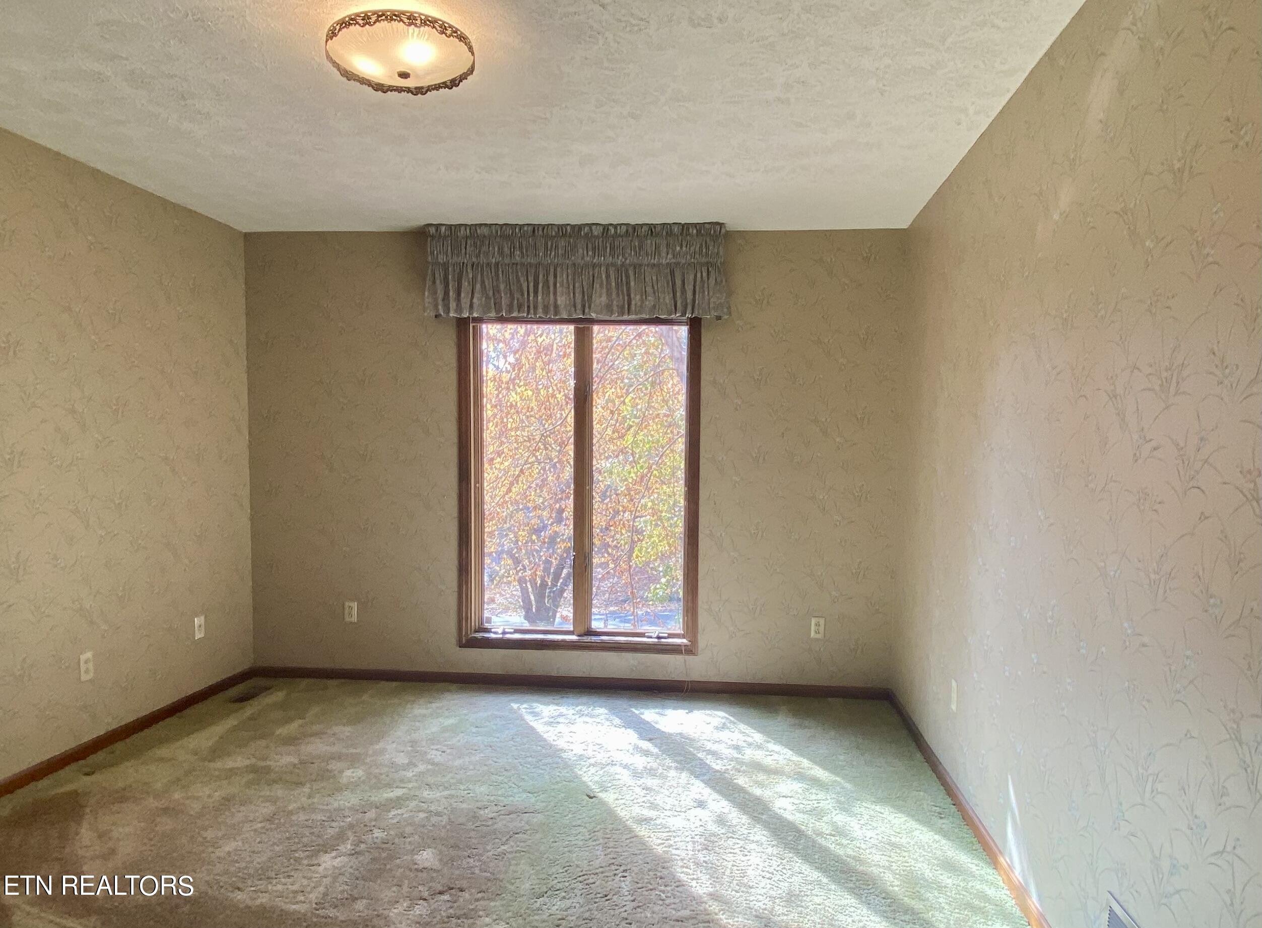 7932 Castlecomb Road Powell, TN 37849 - Photo 21 of 33 IMG_8032