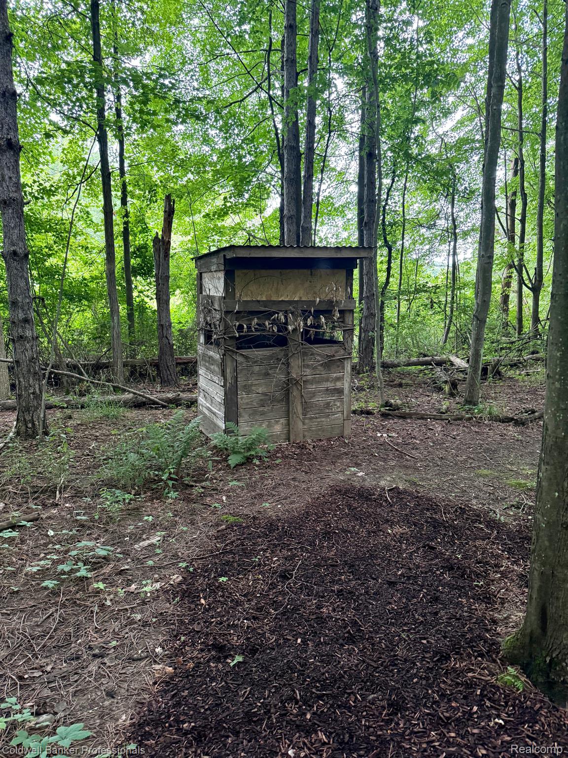 5166 Skelton Road Columbiaville, MI 48421 - Photo 86 of 99 Ground Blind