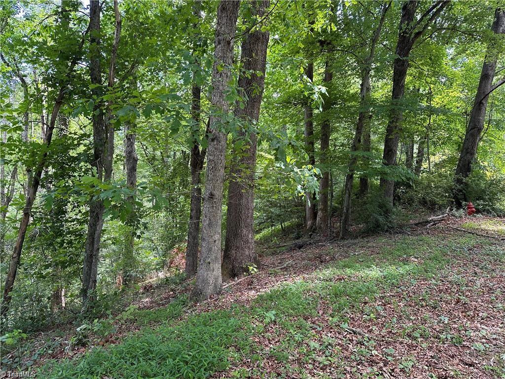 Tbd South Recreation Road Wilkesboro, NC 28697 - Photo 10 of 21