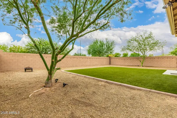 a view of a yard with a tree