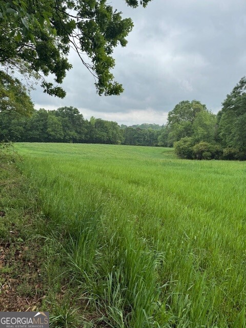 0 Akins Bridge Road Eastanollee, GA 30538 - Photo 1 of 1 Gallery Image 1